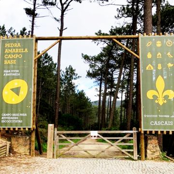TRUSS Publicidade - Oeiras - Topógrafos