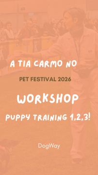 DogWay - Puppy Training - Cascais - Éducation canine - cours