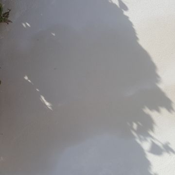 RP.pinturas - Lagos - Microcimento