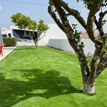 Primegramas - Cascais - Remoção de Arbustos
