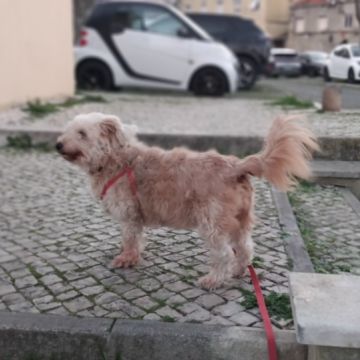 Maria Codina - Lisboa - Investigação Privada