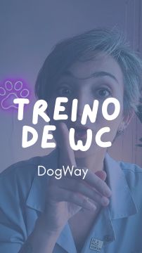 DogWay - Puppy Training - Cascais - Éducation canine