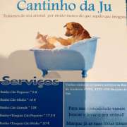 Joana - Santa Maria da Feira - Banhos e Tosquias para Animais