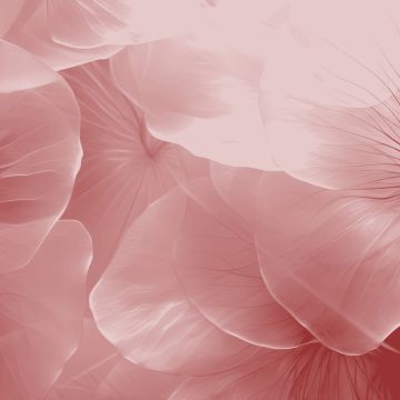 Isabelle Palacios - Torres Vedras - Logo Design