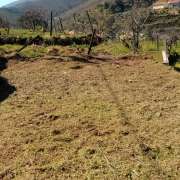 Ribeiro - Torres Vedras - Remoção de Ervas Daninhas