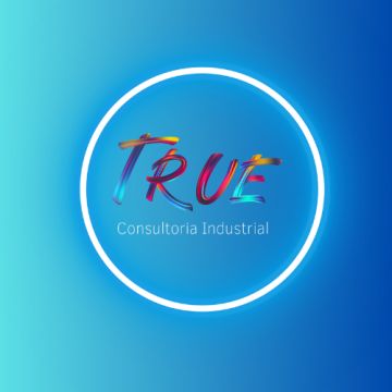 True Consultoria Industrial - Póvoa de Varzim - Web Design