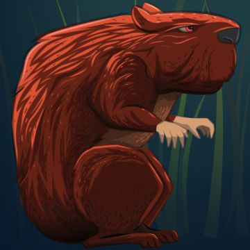 Mariana Vaz - Vila Nova de Gaia - Illustrating