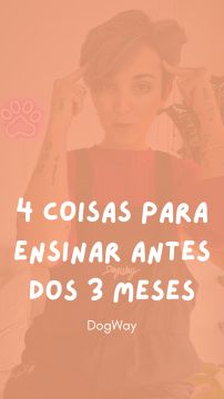 DogWay - Puppy Training - Cascais - Éducation canine