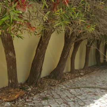 RP.pinturas - Lagos - Construção de Parede Interior