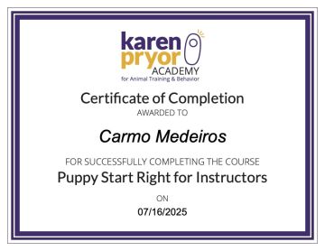 DogWay - Puppy Training - Cascais - Modification du comportement animal