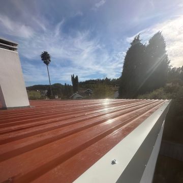 Fernando Pires - Torres Vedras - Instalación de vallas para perros