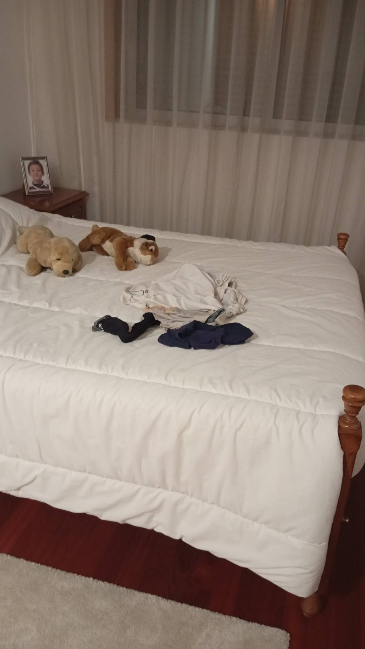 Limpieza del hogar (recurrente)