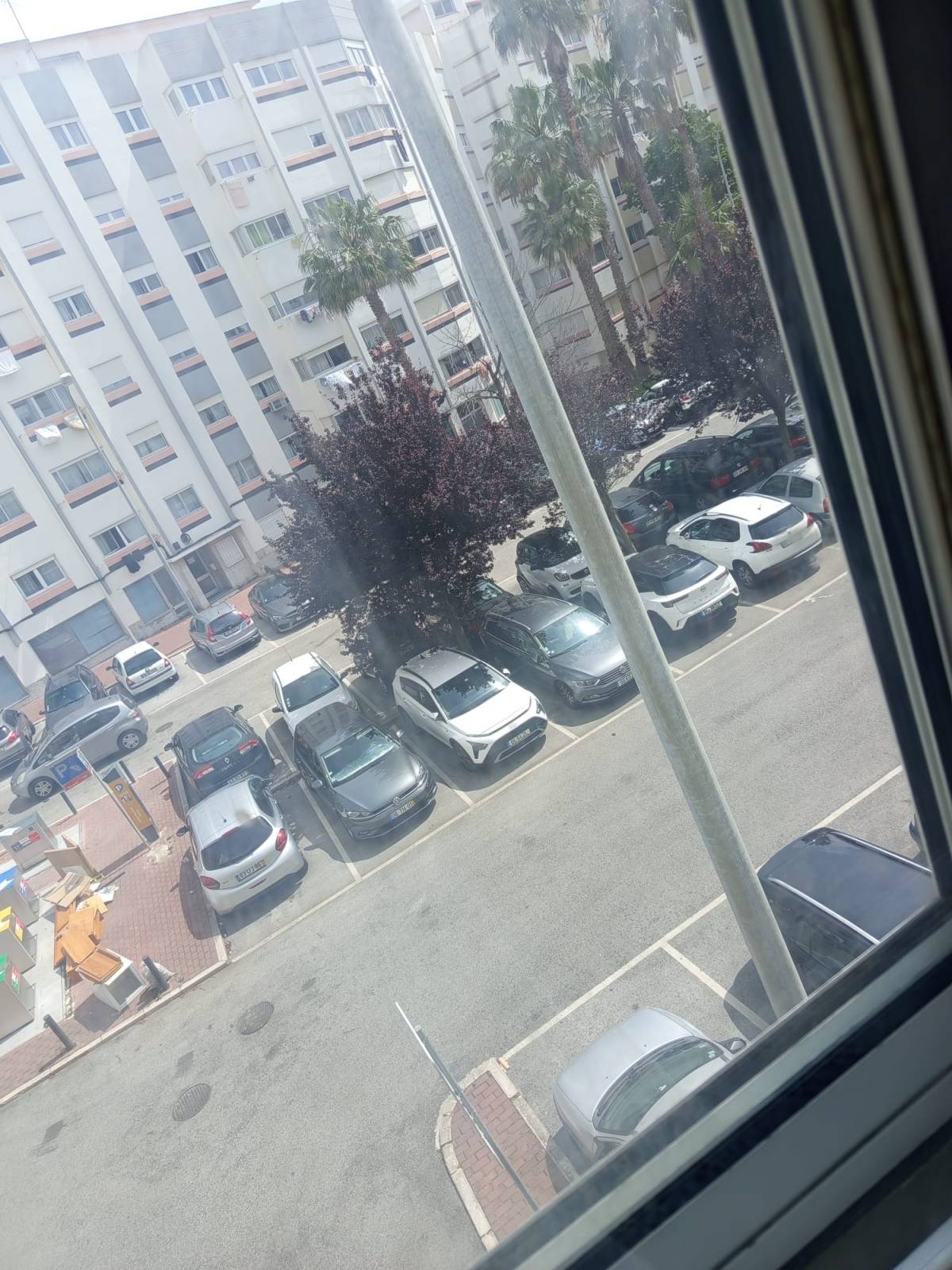 Purezza Clean - Oeiras - Limpeza da Casa (Recorrente)
