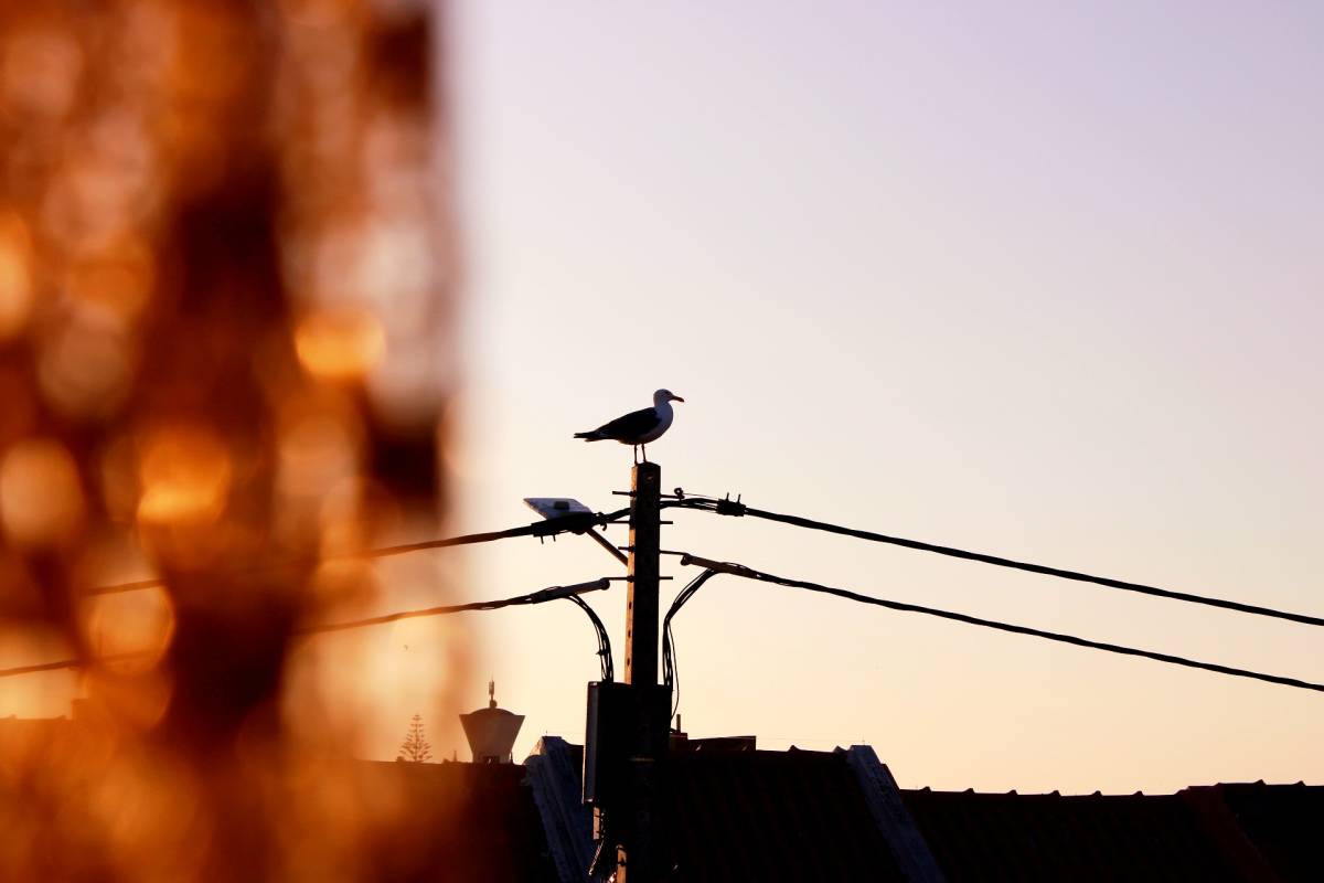 Victorya Neto - Peniche - Fotografia de Casamentos