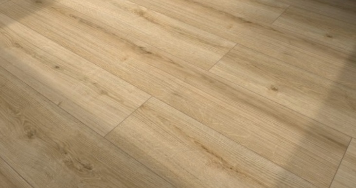 Pedro Henriques - Torres Vedras - Hardwood Floor Repair or Partial Replacement
