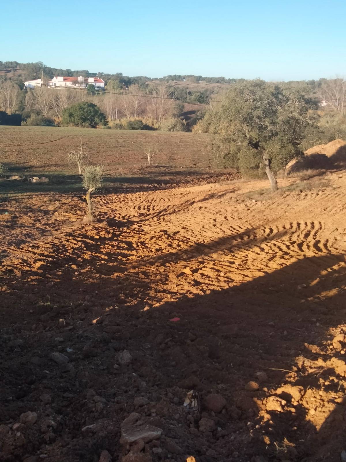 LMP Escavações - Vendas Novas - Vermietung landwirtschaftlicher Geräte