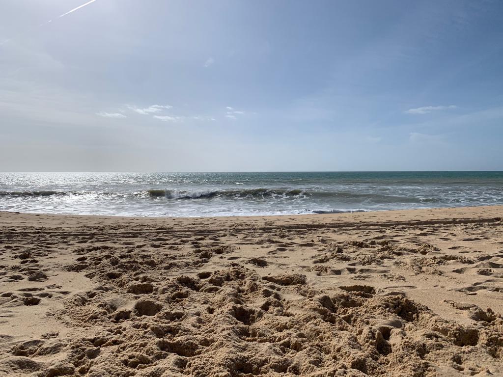 Helena - Albufeira - Pet Sitting
