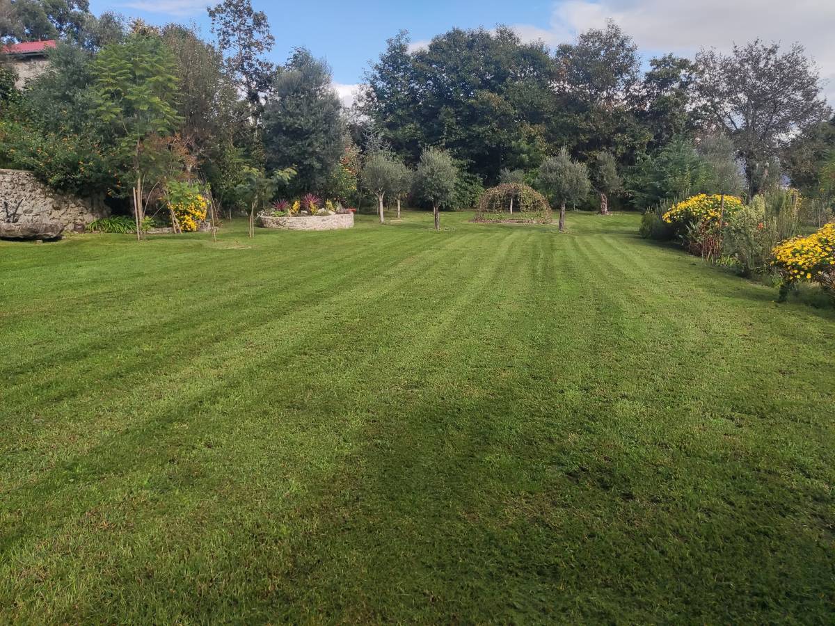 Primaverde - Vila Verde - Manutenção de Sistema de Rega Gota a Gota