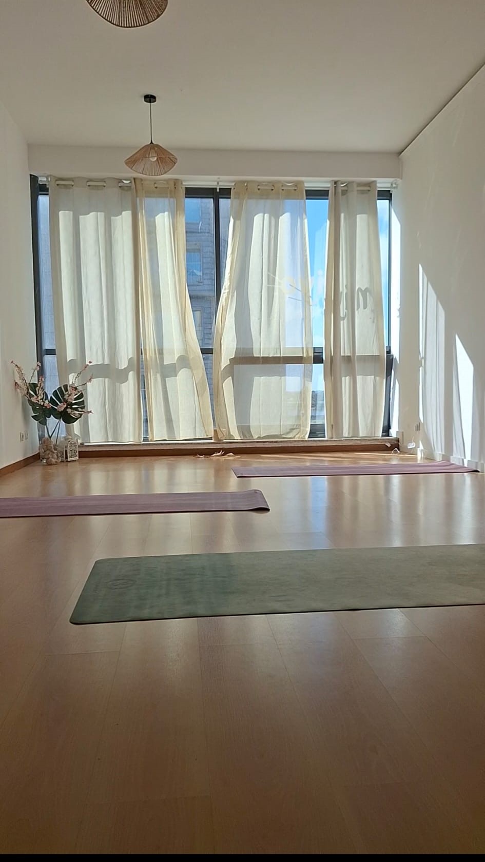 Sara Abreu - Aveiro - Hatha Yoga