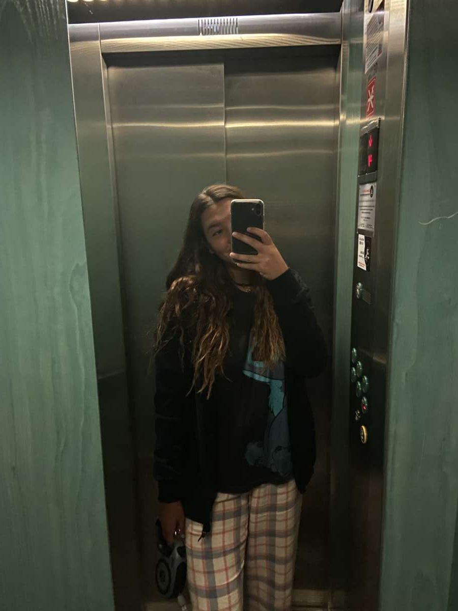 Catarina Gonçalves - Barreiro - Dog Hotel