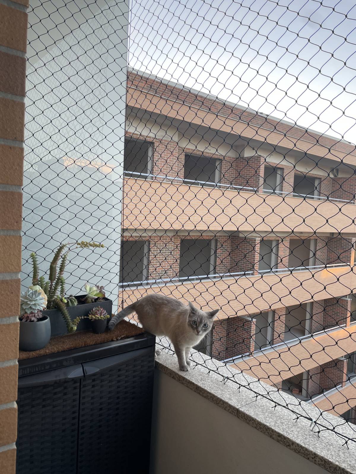 Ventanas - Hogar
