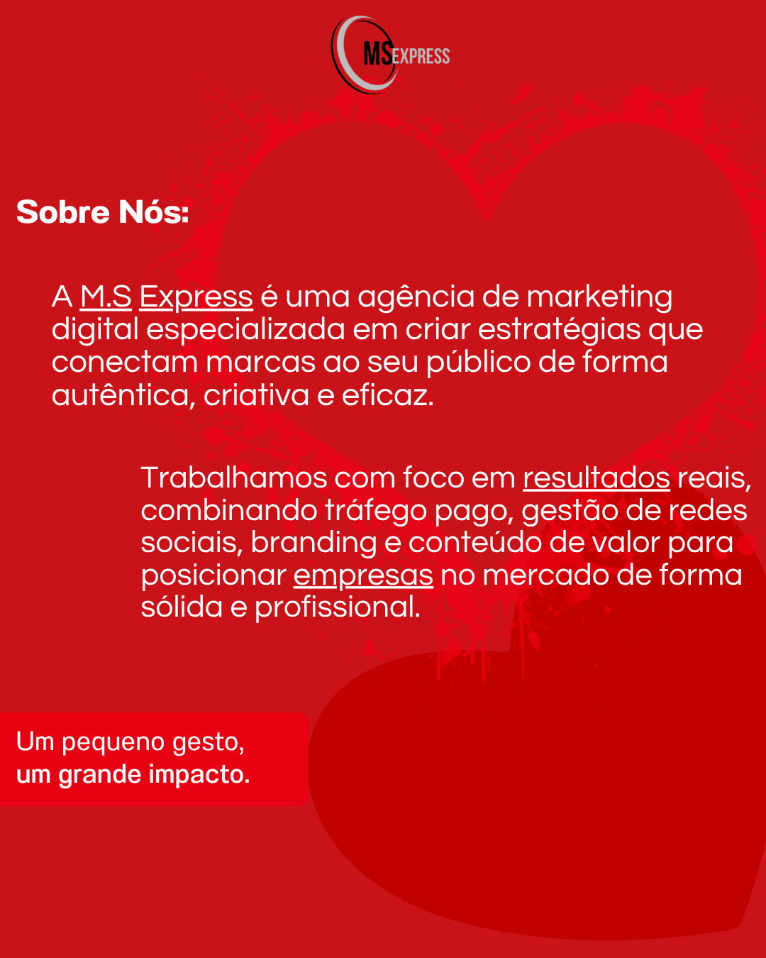 msexpress - Lisboa - Marketing sur les moteurs de recherche (SEM)