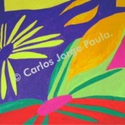 Carlos Jorge da Conceição Paula - Vila Franca de Xira - Graphic Design Instruction