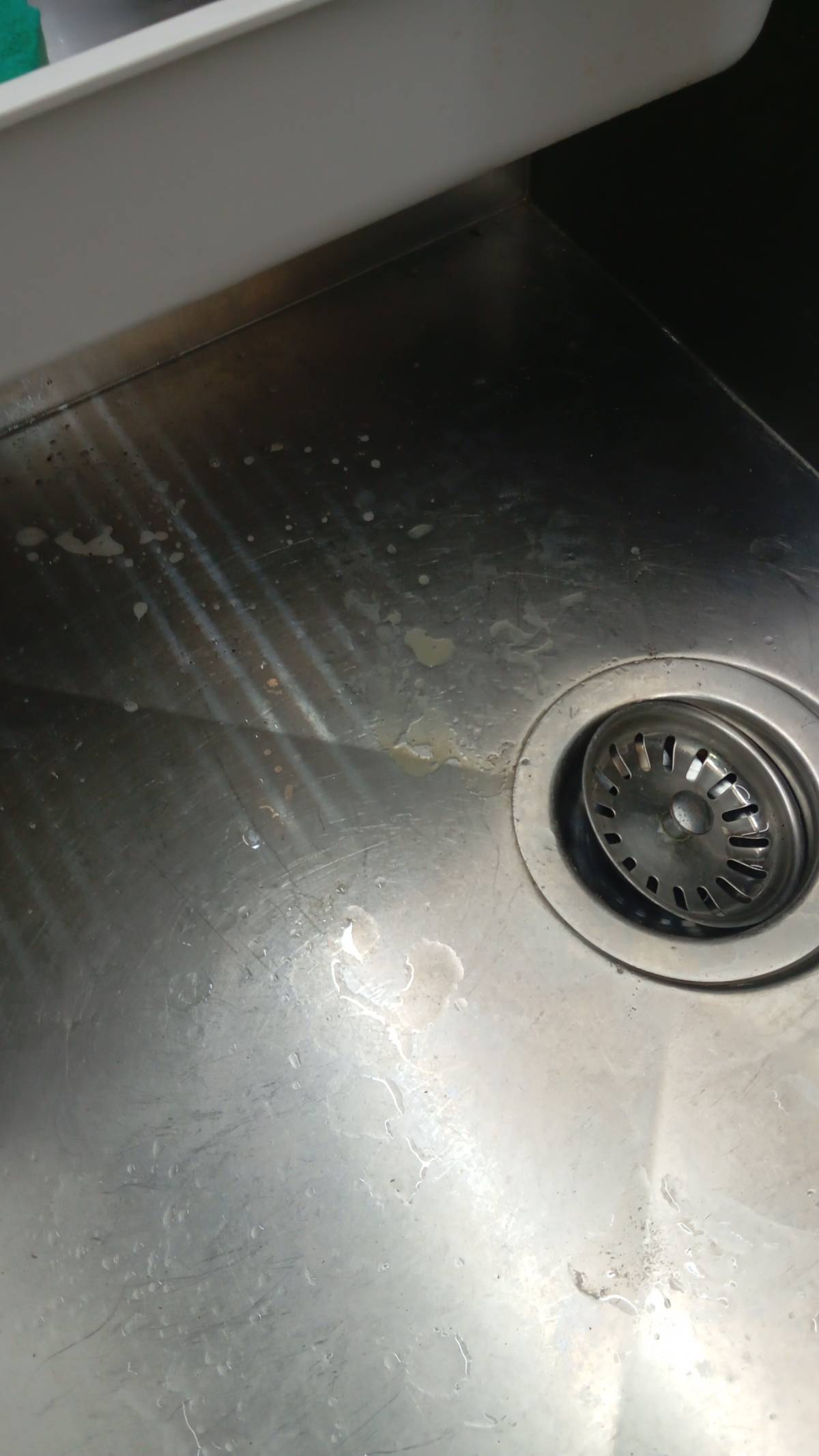 Empresa de limpieza del hogar (recurrente)
