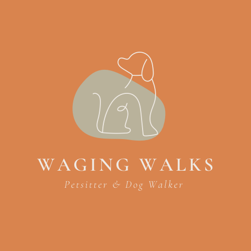 Waging Walks Petsitter & Dog Walker Coimbra - Coimbra - Garde d'animaux