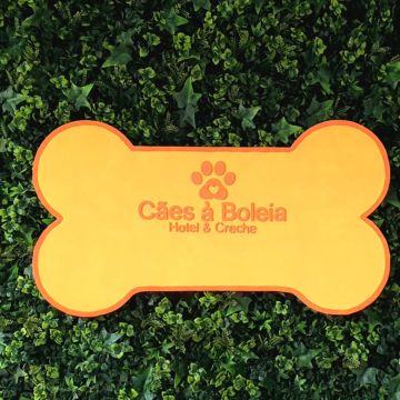 Cães à Boleia - Alenquer - Cuidar tus gatos