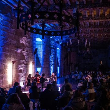 Margarida - Vila Nova de Famalicão - Musik - Andere Musikinstrumente
