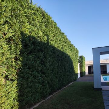 Primaverde - Vila Verde - Nivelação de Terreno - Grande Dimensão (mais de 1 hectar)