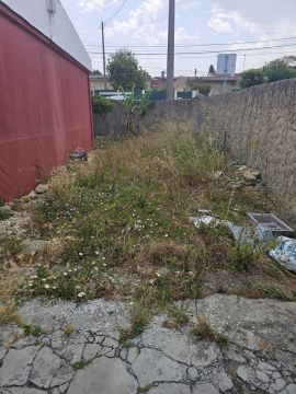 Jardinagem