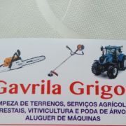 Gavrila Grigor - Santarém - Poda e Manutenção de Árvores