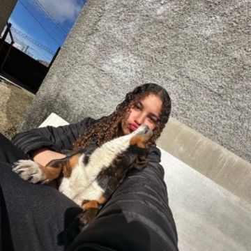 Patinhas de ílhavo/Aveiro - Ílhavo - Cat Sitting