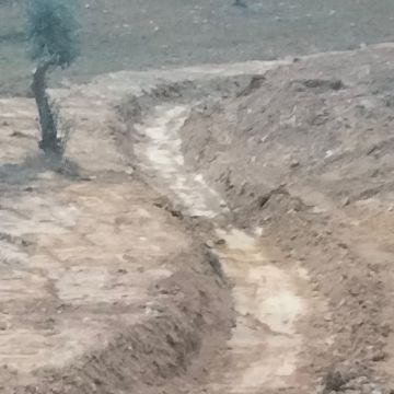 LMP Escavações - Vendas Novas - Gartenarbeiten