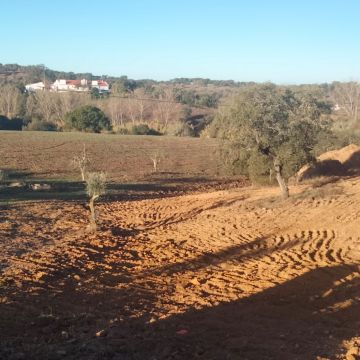 LMP Escavações - Vendas Novas - Vermietung landwirtschaftlicher Geräte