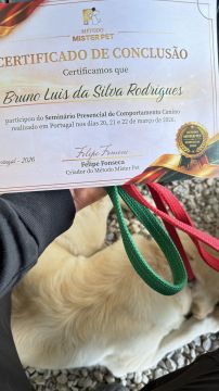 Bruno Rodrigues - Passeador de cães(em formação como treinador) - Braga - Dog Sitting