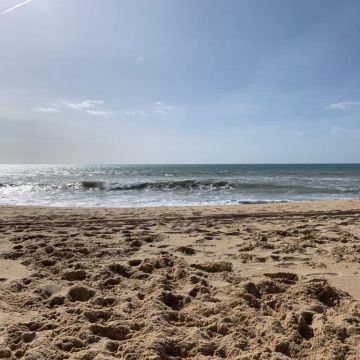 Helena - Albufeira - Pet Sitting