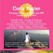 Carlos Jorge da Conceição Paula - Vila Franca de Xira - Blog Designing