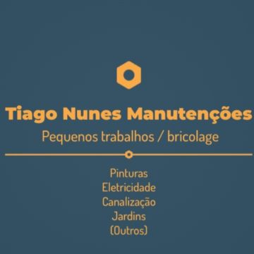 Tiago Nunes Manutenções - Bombarral - Carpet Installation