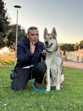 Mundicão - Educação Canina - Vila Nova de Gaia - Treino de Cães