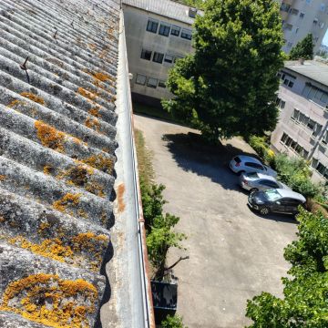 Eduardo Silva - Penafiel - Nettoyage de toiture