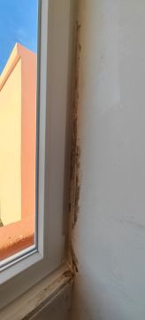 Handyman - Casa