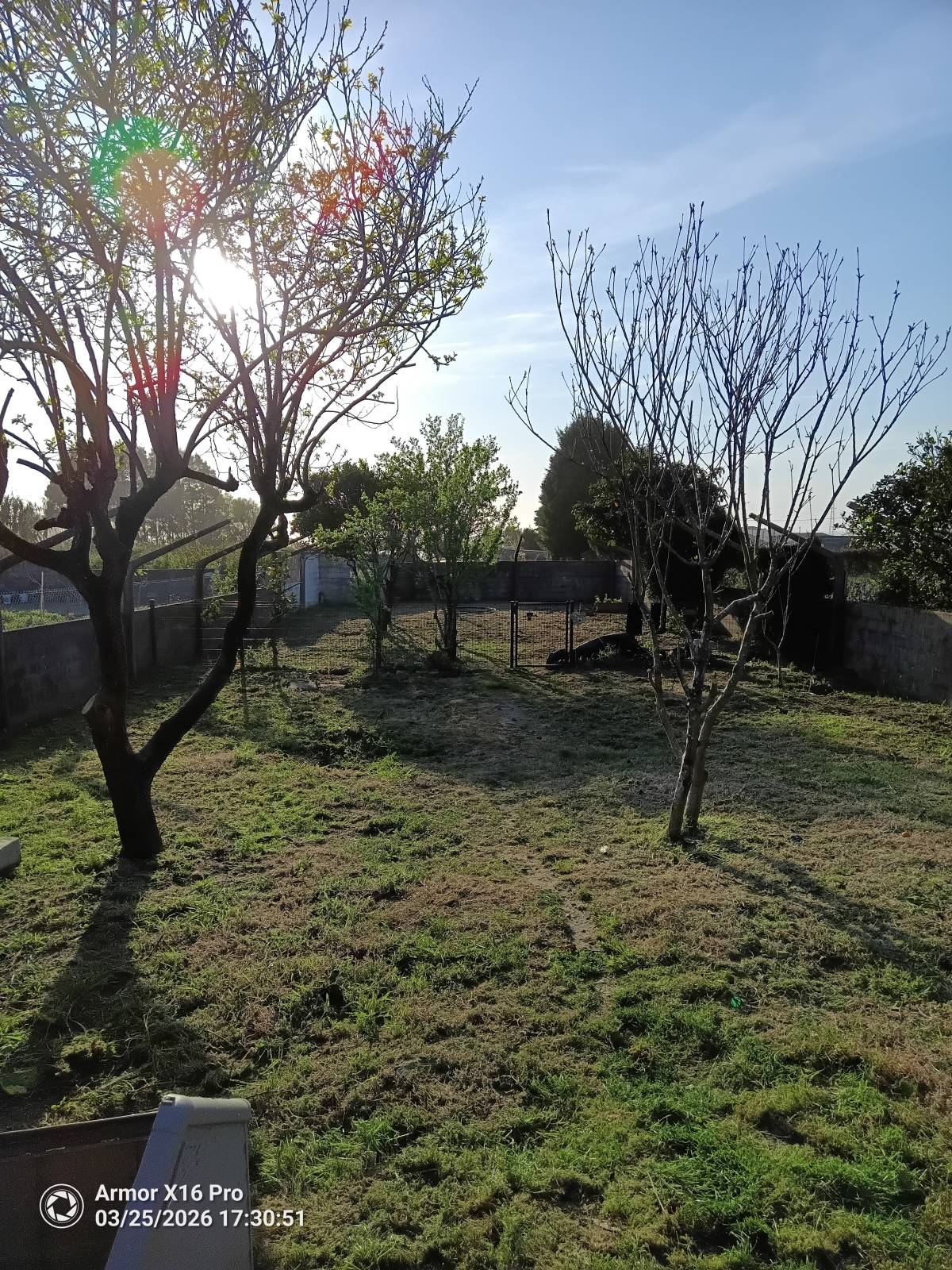 Miguel - Maia - Land Clearance