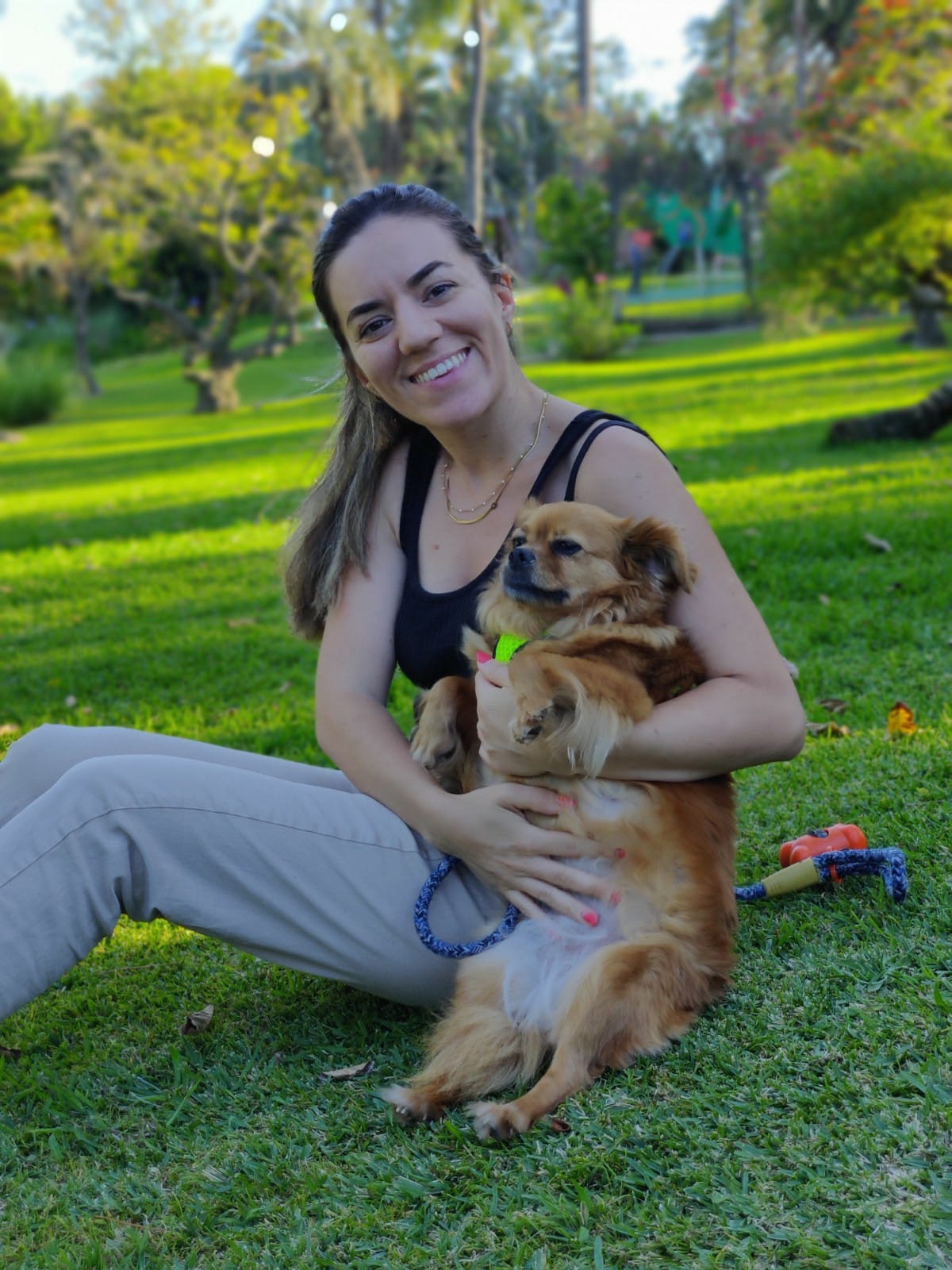 Sofia - Castelo Branco - Hundeausführung