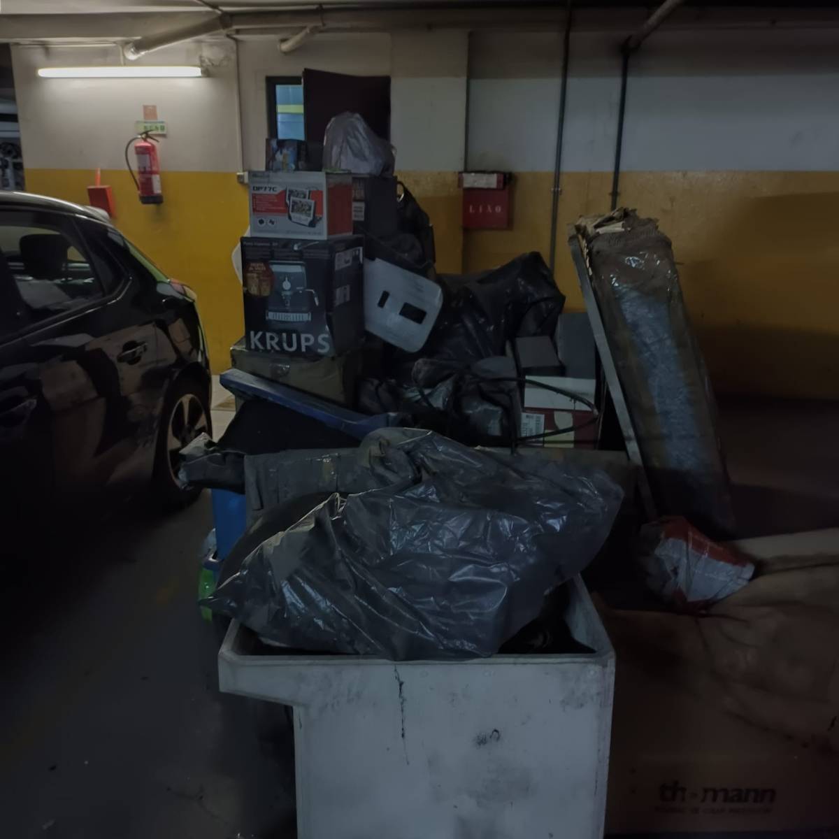 Miguel - Maia - Remoção de Tronco de Árvore