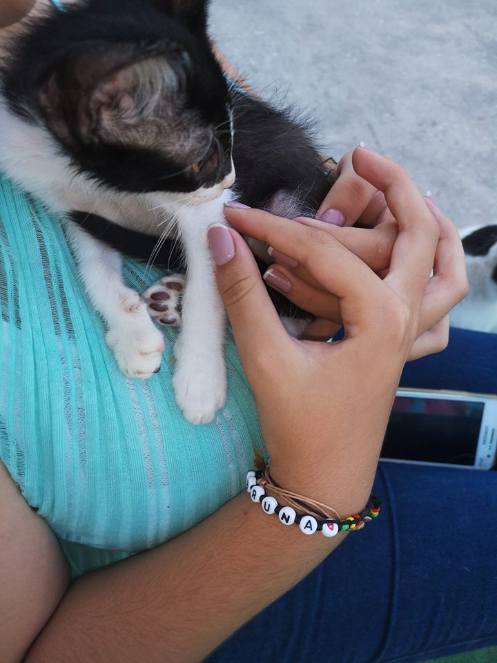 Sara petsitting - Abrantes - Cuidados y paseos de mascotas