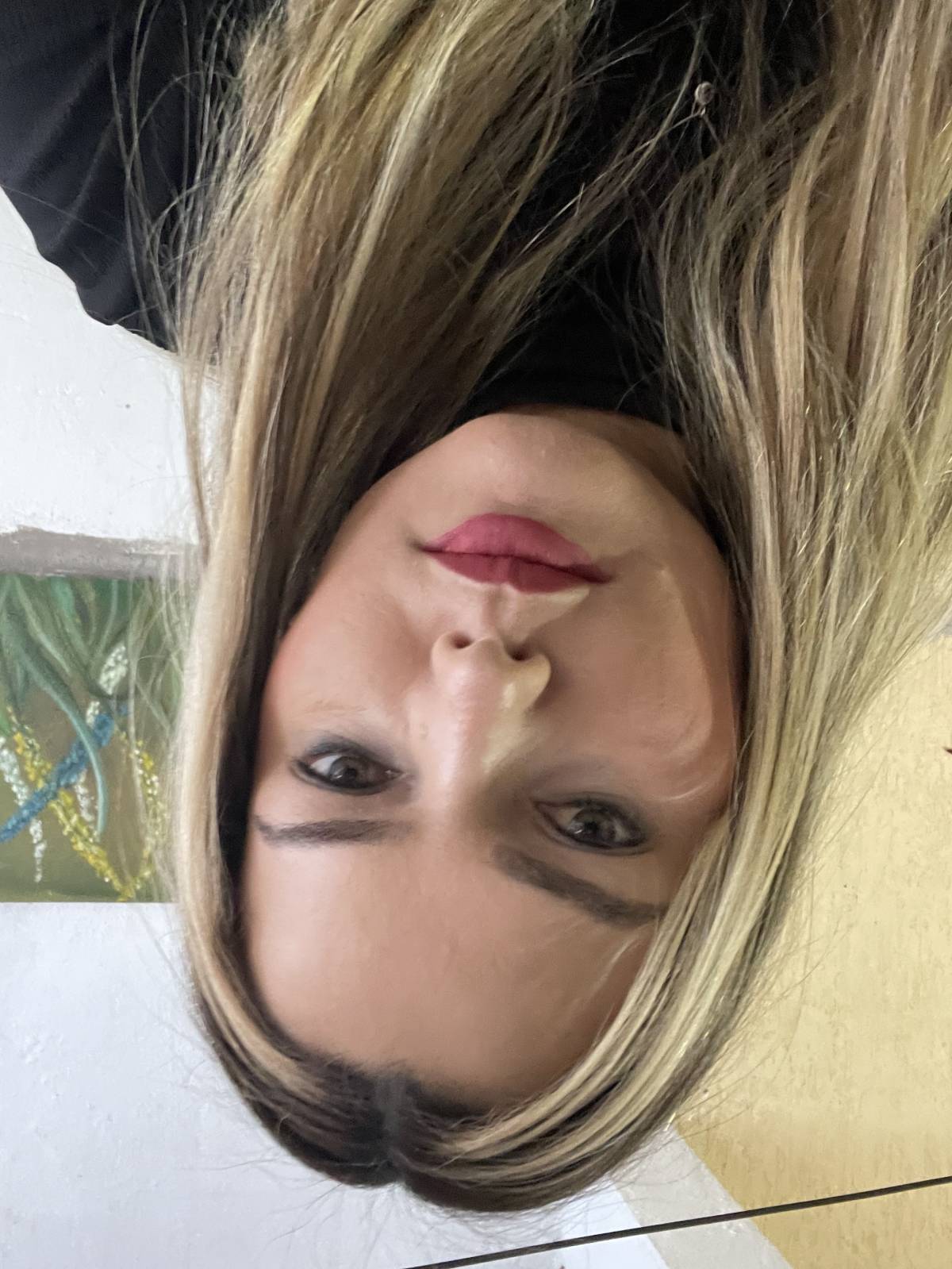 Suzana leandra - Torres Novas - Organizador del hogar