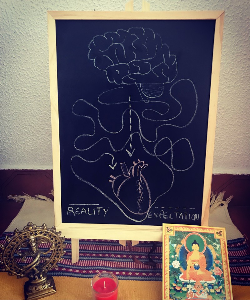 Daniela Carlos - Albufeira - Assistente de Saúde